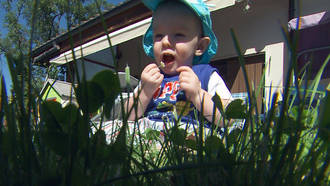 Intoxications accidentelles