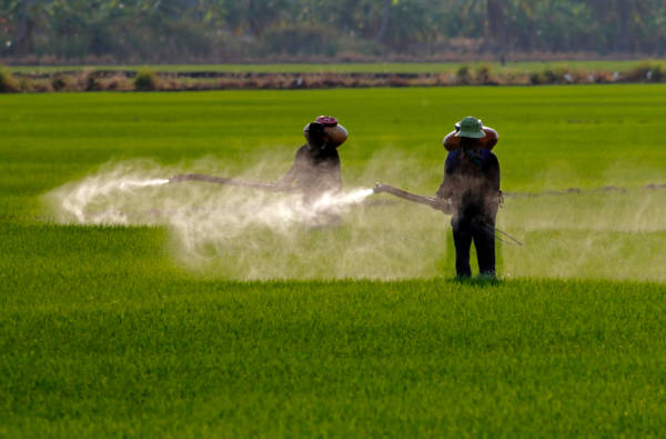 DUMSC_expositions_professionnelle_pesticides