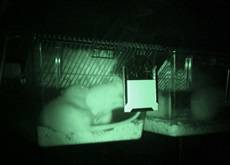 36.9_chronobiologie_apprivoiser