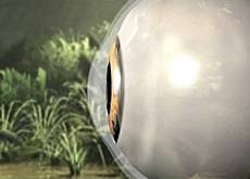 36.9_operations_presbytie