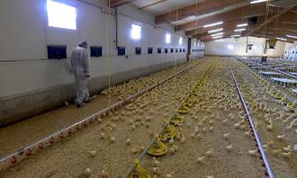 36.9_resistances_antibiotiques