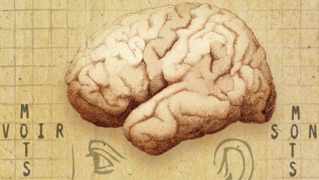 36.9_trouble_du_language