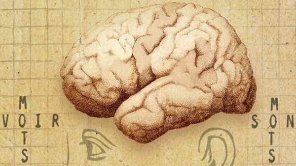 36.9_trouble_du_language