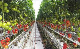 36.9_micronutriments