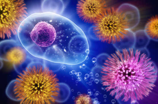 papillomavirus et infection urinaire papillomavirus homme fatigue