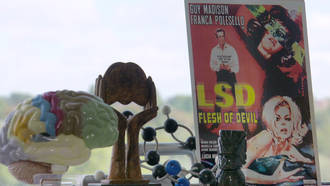 Le retour des psychédéliques