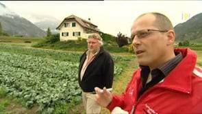 Pesticides: pour le meilleur et pour le pire